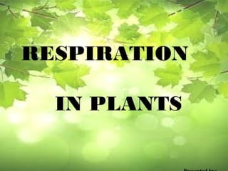 Plant Life Processes - Life Processes of Plants