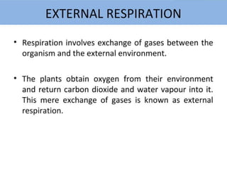 Plant Life Processes - Life Processes of Plants