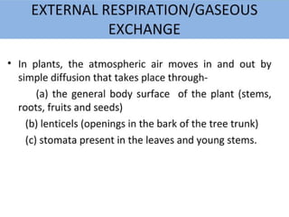 Plant Life Processes - Life Processes of Plants