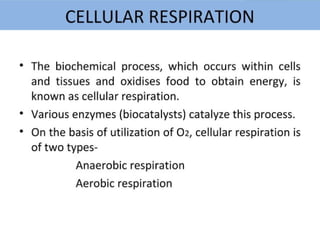 Plant Life Processes - Life Processes of Plants