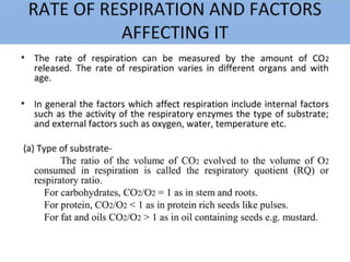 Plant Life Processes - Life Processes of Plants