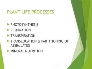 PLANT LIFE PROCESSES
 PHOTOSYNTHESIS
 RESPIRATION
 TRANSPIRATION
 TRANSLOCATION & PARTITIONING OF
ASSIMILATES
 MINERAL NUTRITION
 
