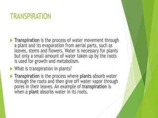 Plant Life Processes - Life Processes of Plants