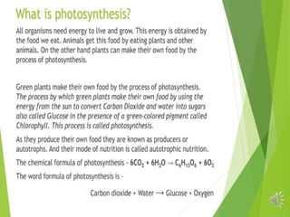 Plant Life Processes - Life Processes of Plants