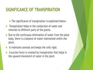 Plant Life Processes - Life Processes of Plants