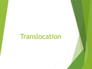 Translocation
 