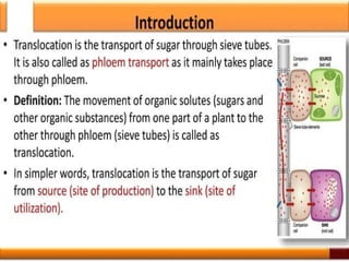 Plant Life Processes - Life Processes of Plants