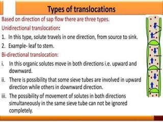 Plant Life Processes - Life Processes of Plants