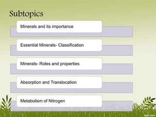 Plant Life Processes - Life Processes of Plants