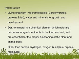 Plant Life Processes - Life Processes of Plants