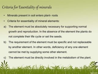 Plant Life Processes - Life Processes of Plants