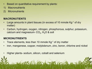 Plant Life Processes - Life Processes of Plants