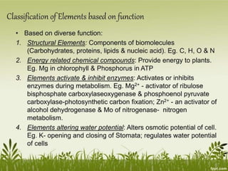 Plant Life Processes - Life Processes of Plants