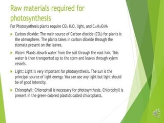 Plant Life Processes - Life Processes of Plants