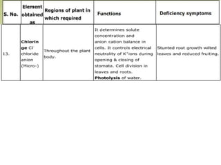 Plant Life Processes - Life Processes of Plants