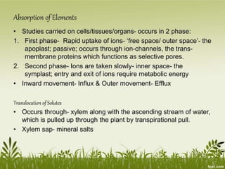 Plant Life Processes - Life Processes of Plants