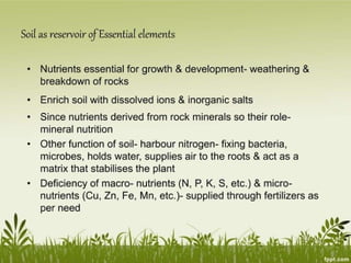 Plant Life Processes - Life Processes of Plants
