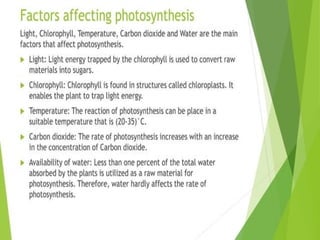 Plant Life Processes - Life Processes of Plants