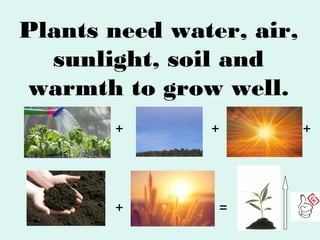 Plants need water, air,
sunlight, soil and
warmth to grow well.
+

+

+

=

+

 