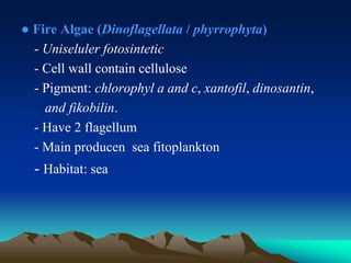 ● Fire Algae (Dinoflagellata / phyrrophyta)
- Uniseluler fotosintetic
- Cell wall contain cellulose
- Pigment: chlorophyl a and c, xantofil, dinosantin,
and fikobilin.
- Have 2 flagellum
- Main producen sea fitoplankton
- Habitat: sea
 