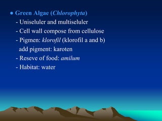 ● Green Algae (Chlorophyta)
- Uniseluler and multiseluler
- Cell wall compose from cellulose
- Pigmen: klorofil (klorofil a and b)
add pigment: karoten
- Reseve of food: amilum
- Habitat: water
 
