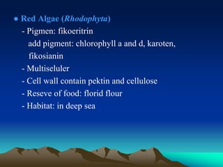 ● Red Algae (Rhodophyta)
- Pigmen: fikoeritrin
add pigment: chlorophyll a and d, karoten,
fikosianin
- Multiseluler
- Cell wall contain pektin and cellulose
- Reseve of food: florid flour
- Habitat: in deep sea
 
