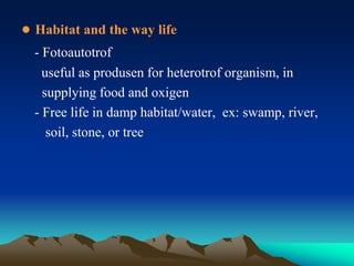 ● Habitat and the way life
- Fotoautotrof
useful as produsen for heterotrof organism, in
supplying food and oxigen
- Free life in damp habitat/water, ex: swamp, river,
soil, stone, or tree
 