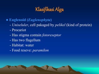 Klasifikasi Alga
● Euglenoid (Euglenophyta)
- Uniseluler, cell pakaged by pelikel (kind of protein)
- Procariot
- Has stigma contain fotoreseptor
- Has two flagellum
- Habitat: water
- Food reseve: paramilon
 