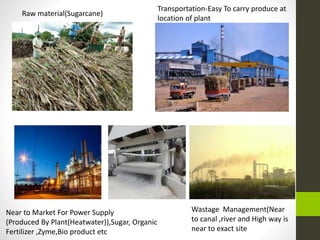 Raw material(Sugarcane)
Transportation-Easy To carry produce at
location of plant
Near to Market For Power Supply
(Produced By Plant(Heatwater)),Sugar, Organic
Fertilizer ,Zyme,Bio product etc
Wastage Management(Near
to canal ,river and High way is
near to exact site
 
