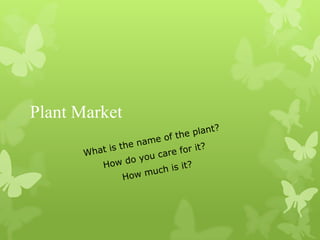 Plant Market
 