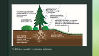 Fig: Effect of vegetation in minimizing soil erosion
 
