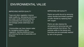 ENVIRONMENTAL VALUE
IMPROVING WATER QUALITY​
Trees and other vegetation improve
water quality by decreasing soil erosion
and water runoff containing fertilizers
and pesticides from landscapes, oil,
and sewage pollute waterways and
lakes.
Communities can have cleaner water
by managing existing natural
vegetation, planting additional trees,
and reducing the use of pesticides and
fertilizers.
IMPROVING AIR QUALITY
Plants can purify the air by removing
carbon dioxide and limited quantities
of sulfur dioxide by replacing them
with oxygen.
Plants can also cleanse the
atmosphere by removing dust, ash,
smoke particles from the air. The
particles settle on the leaves and
branches and are eventually washed
by rain to the ground.
 