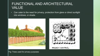 FUNCTIONAL AND ARCHITECTURAL
VALUE
 Can cater to the need for privacy, protection from glare or direct sunlight
into windows, or shade.
Fig: Trees used for privacy purposes
 
