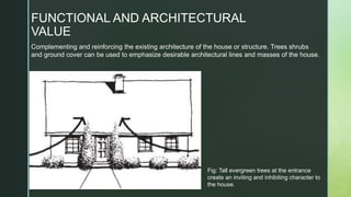 Fig: Tall evergreen trees at the entrance
create an inviting and inhibiting character to
the house.
Complementing and reinforcing the existing architecture of the house or structure. Trees shrubs
and ground cover can be used to emphasize desirable architectural lines and masses of the house.
FUNCTIONAL AND ARCHITECTURAL
VALUE
 