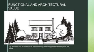 Fig: Apparent size of the structure is increased by graduating plant sizes away from the
house
FUNCTIONAL AND ARCHITECTURAL
VALUE
 