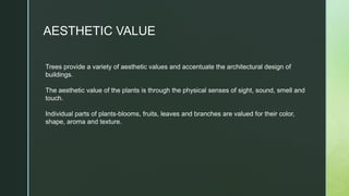 AESTHETIC VALUE
Trees provide a variety of aesthetic values and accentuate the architectural design of
buildings​.
The aesthetic value of the plants is through the physical senses of sight, sound, smell and
touch.
Individual parts of plants-blooms, fruits, leaves and branches are valued for their color,
shape, aroma and texture​.
 