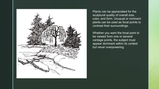 Plants can be appreciated for the
sculptural quality of overall size,
color, and form. Unusual or rominent
plants can be used as focal points to
contrast their surroundings.
Whether you want the focal point to
be viewed from one or several
vantage points, the subject must
appear dominant within its context
but never overpowering.
 
