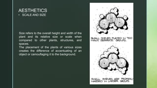 AESTHETICS
• SCALE AND SIZE
Size refers to the overall height and width of the
plant and its relative size or scale when
compared to other plants, structures, and
spaces.
The placement of the plants of various sizes
creates the difference of accentuating of an
object or camouflaging it to the background.
 