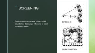 zz
SCREENING
 Plant screens can provide privacy, mark
boundaries, discourage intruders, or block
unpleasant views.
 