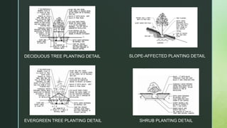 DECIDUOUS TREE PLANTING DETAIL
SHRUB PLANTING DETAILEVERGREEN TREE PLANTING DETAIL
SLOPE-AFFECTED PLANTING DETAIL
 
