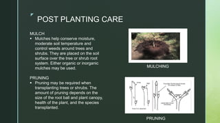 z
POST PLANTING CARE
MULCH
 Mulches help conserve moisture,
moderate soil temperature and
control weeds around trees and
shrubs. They are placed on the soil
surface over the tree or shrub root
system. Either organic or inorganic
mulches may be used.
PRUNING
 Pruning may be required when
transplanting trees or shrubs. The
amount of pruning depends on the
size of the root ball and plant canopy,
health of the plant, and the species
transplanted.
MULCHING
PRUNING
 