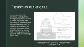 z
EXISTING PLANT CARE
A common method for
protecting existing plants
during construction is to erect
a barrier around the plant,
enclosing an area as large as
the rootzone of the plant or
plants to be protected. This
prevents compaction of soil
and other forms of damage
to the existing roots and also
prevents mechanical damage
to the plant.
PROTECTION OF EXISTING TREES DURING
CONSTRUCTION
 