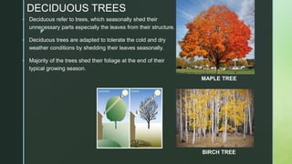 z
DECIDUOUS TREES
 Deciduous refer to trees, which seasonally shed their
unnecessary parts especially the leaves from their structure.
 Deciduous trees are adapted to tolerate the cold and dry
weather conditions by shedding their leaves seasonally.
 Majority of the trees shed their foliage at the end of their
typical growing season.
MAPLE TREE
BIRCH TREE
 