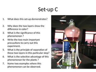Precaution Step Experiment Example Plant Metabolism Set-up question bank.pptx