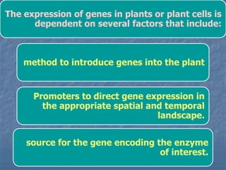 The expression of genes in plants or plant cells is
dependent on several factors that include:
method to introduce genes into the plant
Promoters to direct gene expression in
the appropriate spatial and temporal
landscape.
source for the gene encoding the enzyme
of interest.
 