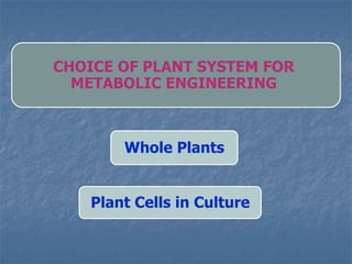 CHOICE OF PLANT SYSTEM FOR
METABOLIC ENGINEERING
Whole Plants
Plant Cells in Culture
 
