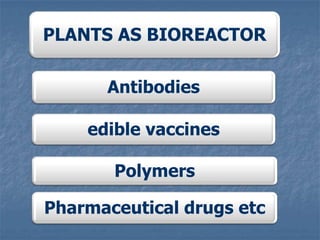 PLANTS AS BIOREACTOR
Antibodies
edible vaccines
Polymers
Pharmaceutical drugs etc
 