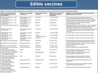 Edible vaccines
 