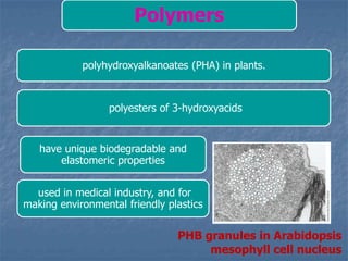 Polymers
polyhydroxyalkanoates (PHA) in plants.
polyesters of 3-hydroxyacids
have unique biodegradable and
elastomeric properties
used in medical industry, and for
making environmental friendly plastics
PHB granules in Arabidopsis
mesophyll cell nucleus
 