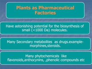 Plants as Pharmaceutical
Factories
Have astonishing potential for the biosynthesis of
small (<1000 Da) molecules.
Many Secondary metabolites as drugs.example-
morphines,steroids.
Many phytochemicals like
flavonoids,anthocynins, ,phenolic compounds etc
 